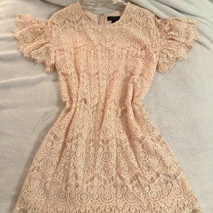 The Limited Blush Lace Dress